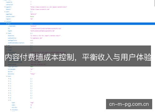内容付费墙成本控制，平衡收入与用户体验