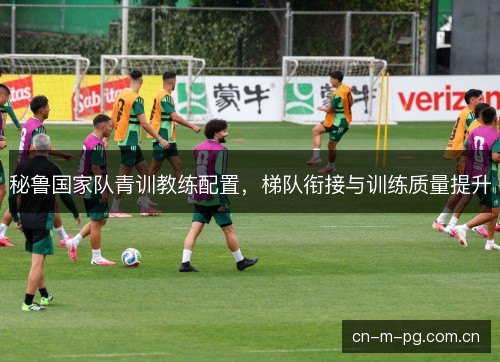 秘鲁国家队青训教练配置,梯队衔接与训练质量提升 秘鲁国家队青训教练配置,梯队衔接与训练质量提升